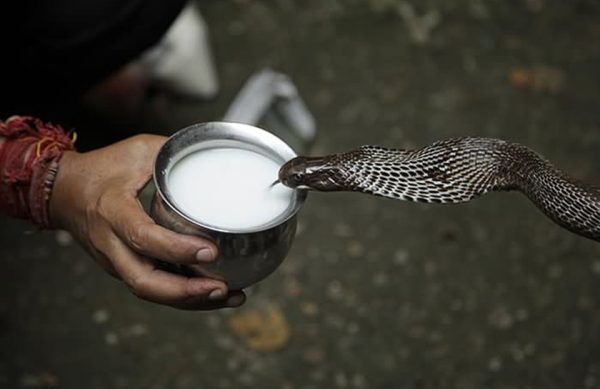 Nag Panchami- Hindu Festival Celebration in Honor of Snake