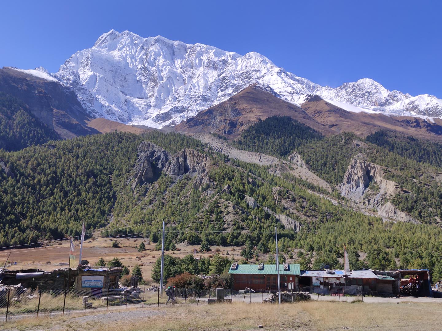 Manang