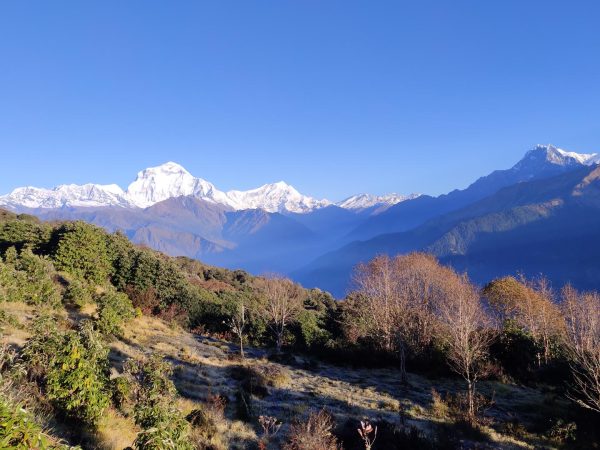 Early morning view from Poon Hill