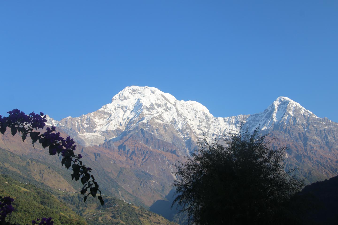 The scenic view of the Annapurna South and the HImchuli.
