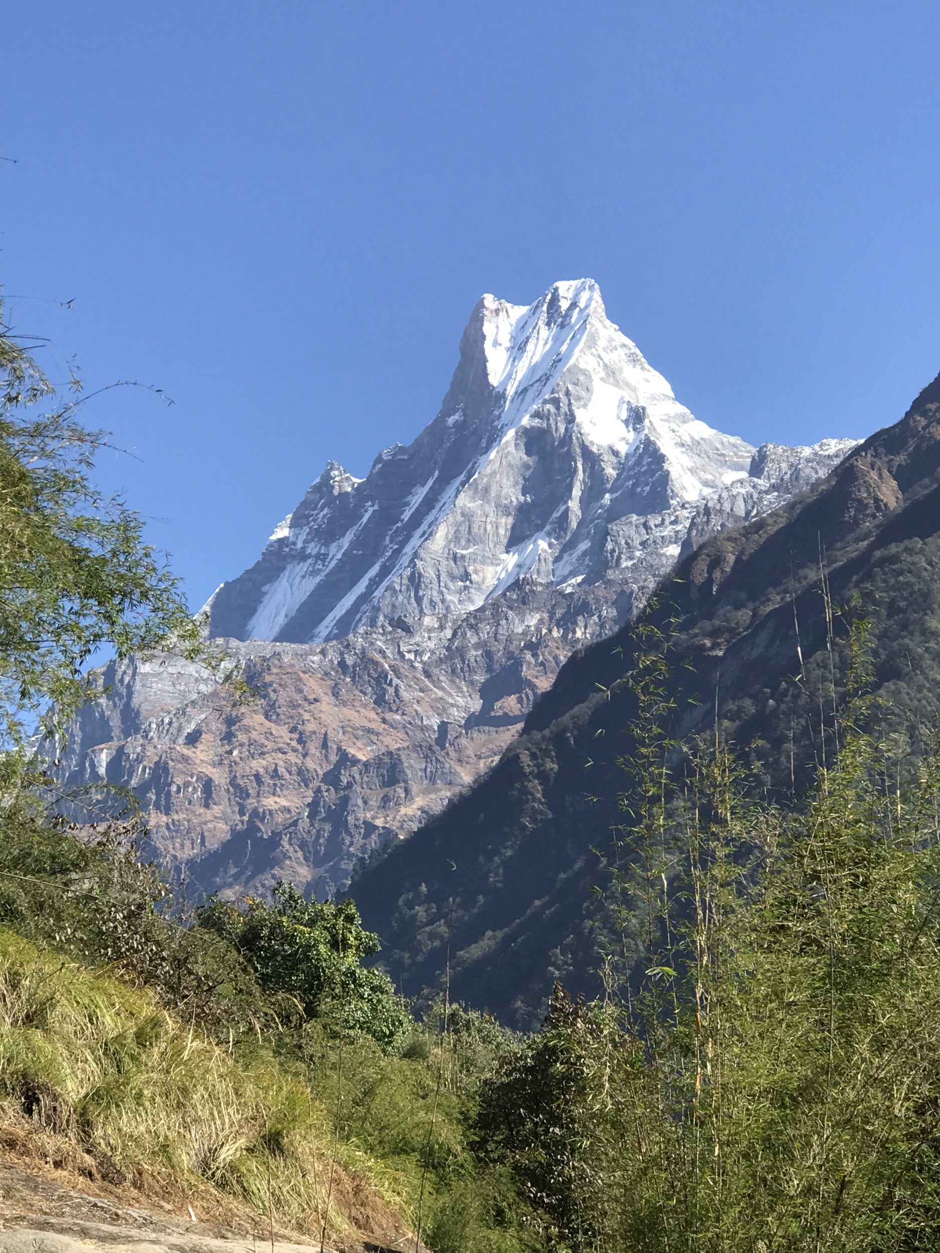Mount Fishtail on the way to Bamboo from Chhomrong