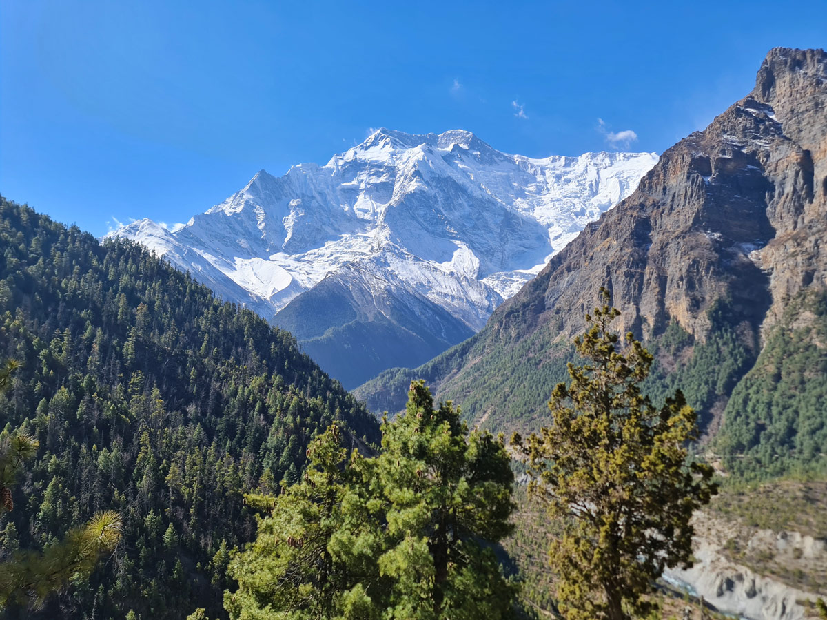 Annapurna Circuit Trek Elevation: Complete Altitude Guide for the Annapurna Circuit Trek 1 Annapurna Circuit Trek Elevation