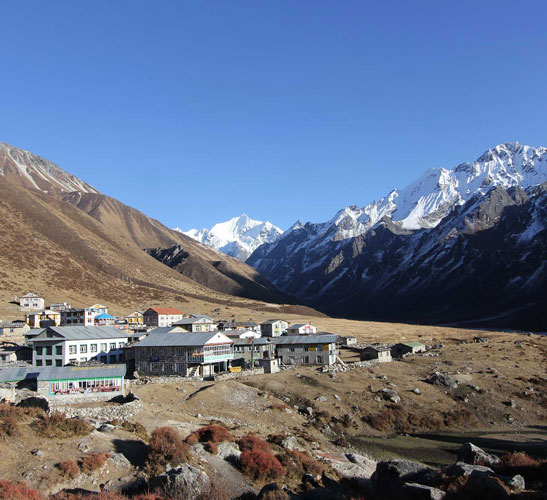 Langtang Helambu Trek