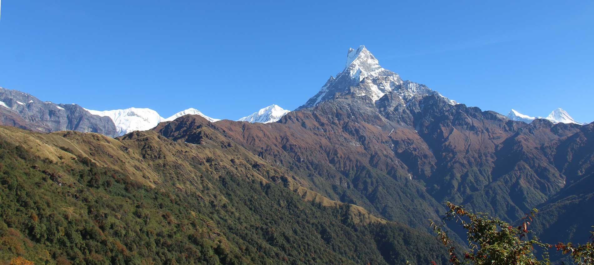 Mardi Himal Trek