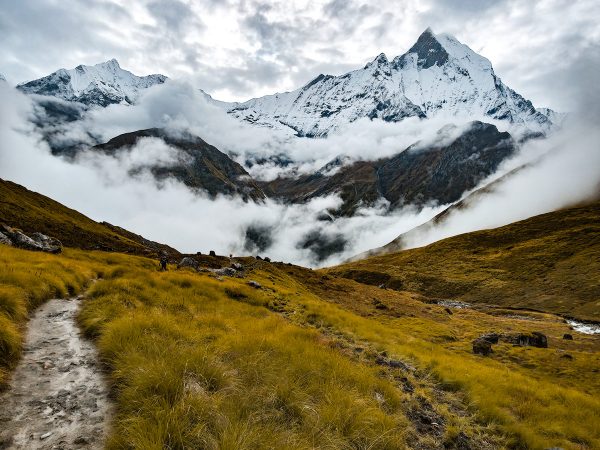 Mt Machhapuchhre rising above drifting clouds during Annapurna Base Camp Trek