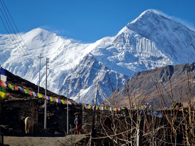 Stunning views of Annapurna II and Gangapurna from Ledar