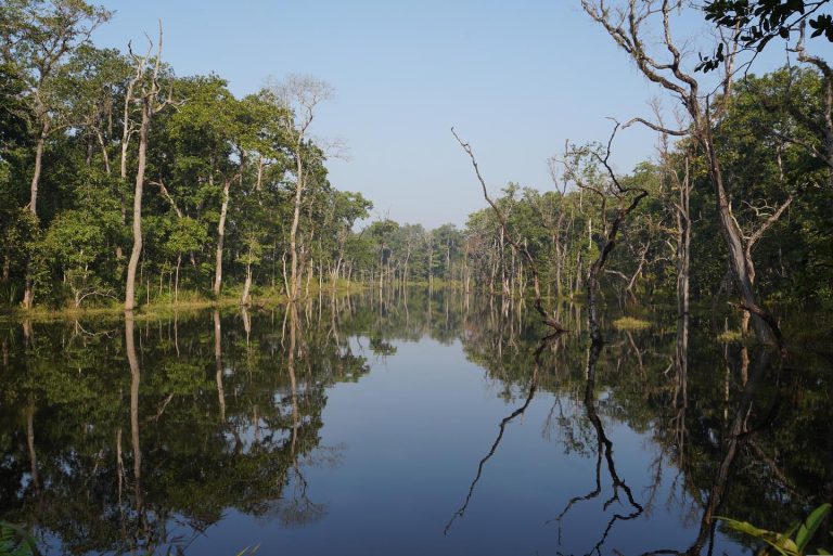 Chitwan Jungle Safari