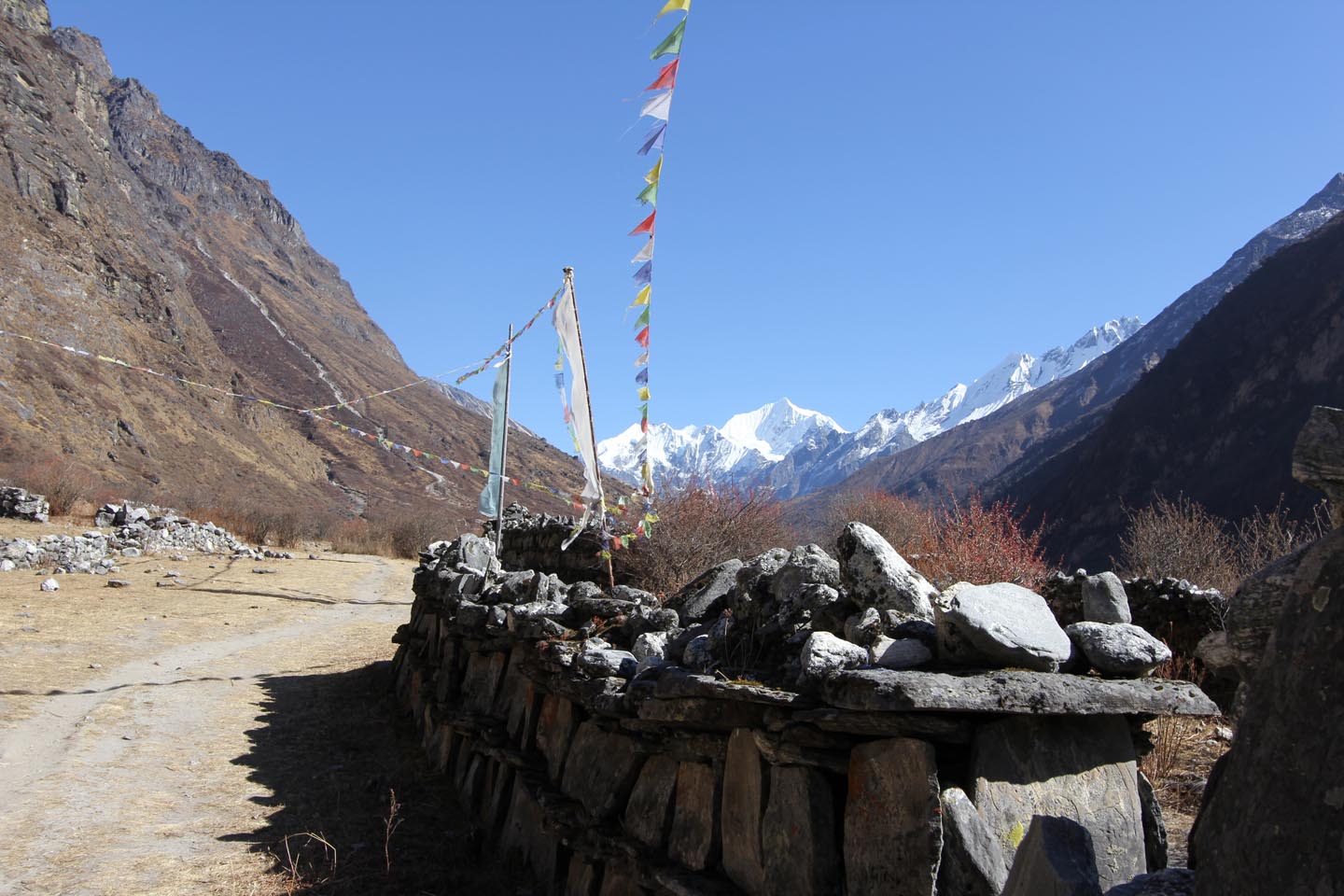 Trails above the Langtang Village