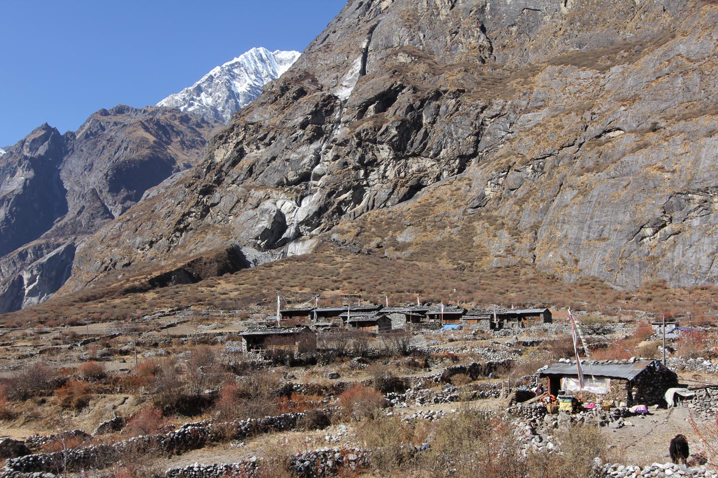 Langtang Village