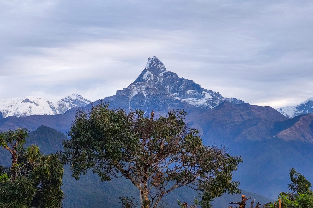 Fishtail mountain from Dhampus Fishtail mountain from Dhampus