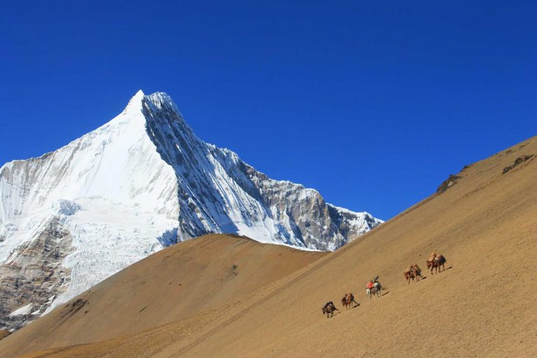 Laya Ghasa Trek