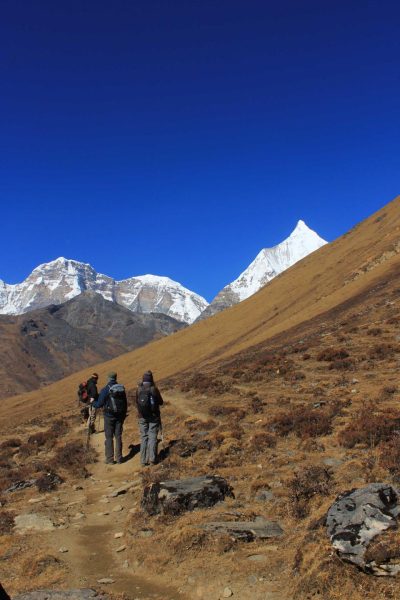 Laya Ghasa Trek