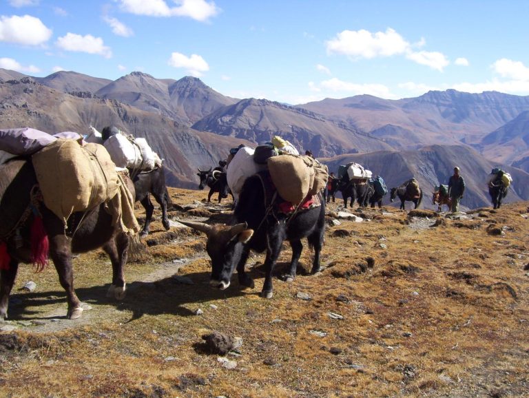 Upper Dolpo trek