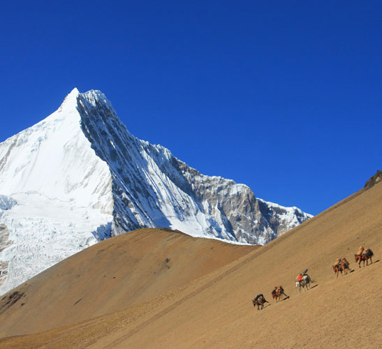 Chomalhari Trek