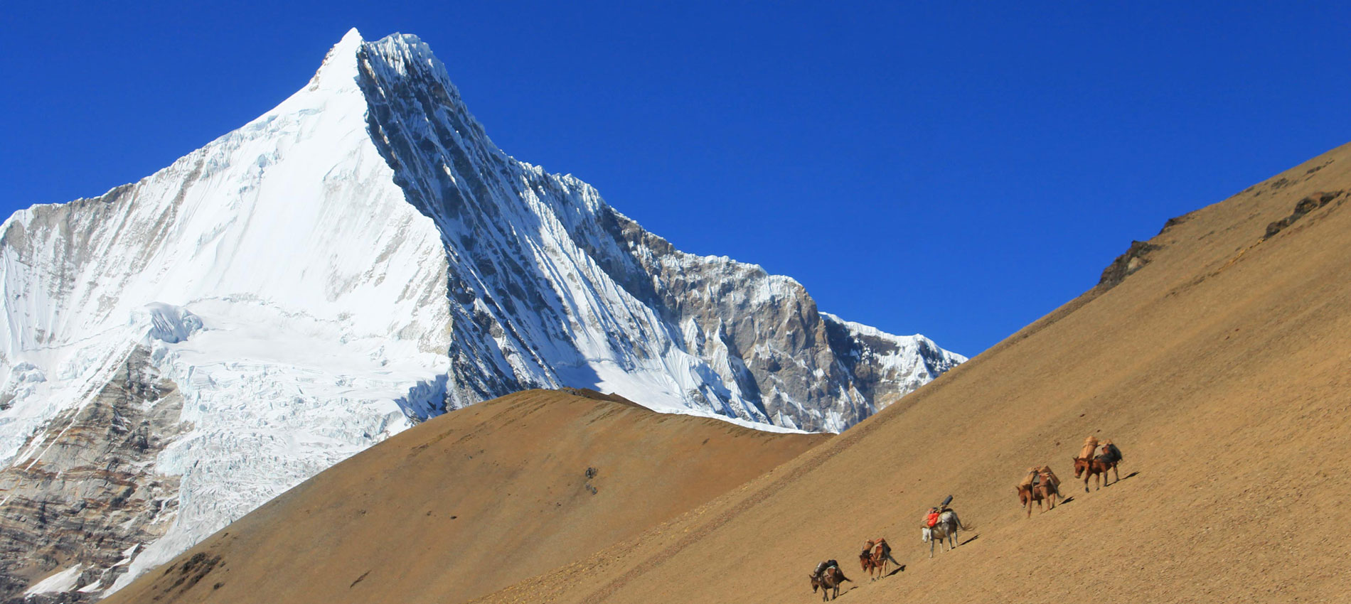 Chomalhari Trek