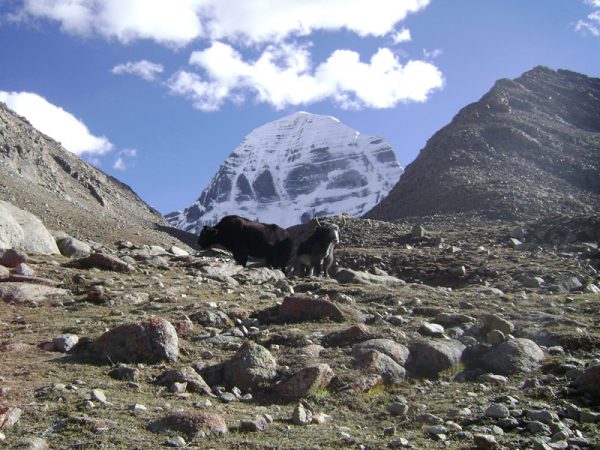 Kailash Mansarovar Yatra
