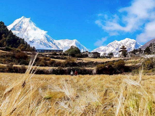 Manaslu view from Lho village during Manaslu Circuit Trek