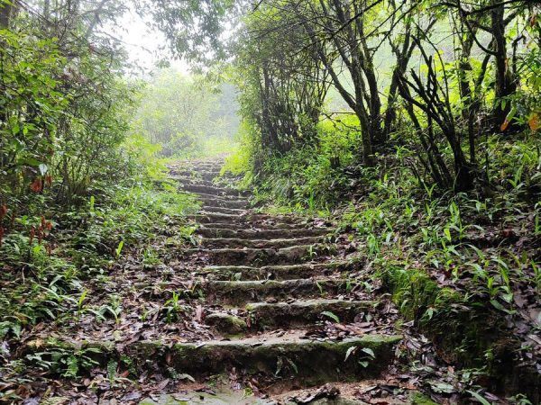 Stairs on the trail