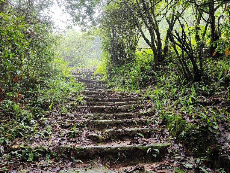 Stairs on the trail