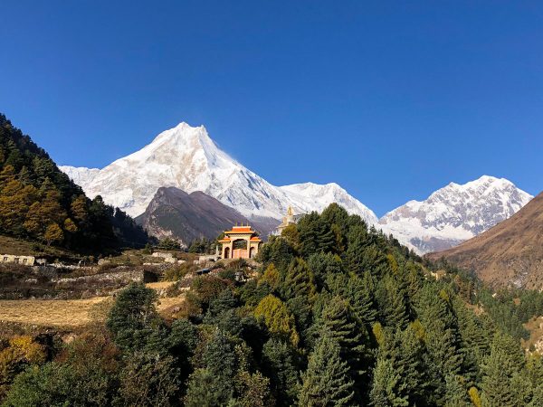 Stunning view of Mt Manaslu with Ribung monastery