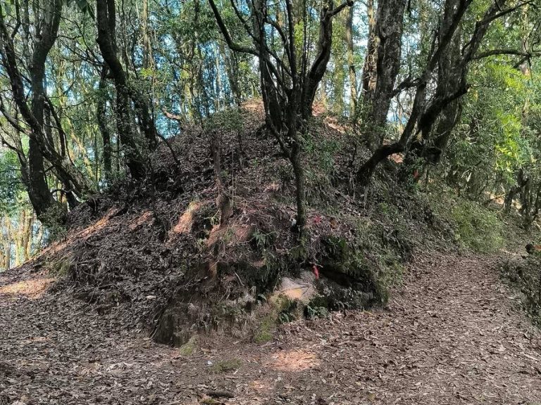 Trail intersection