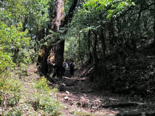 Trail to Baghdwar