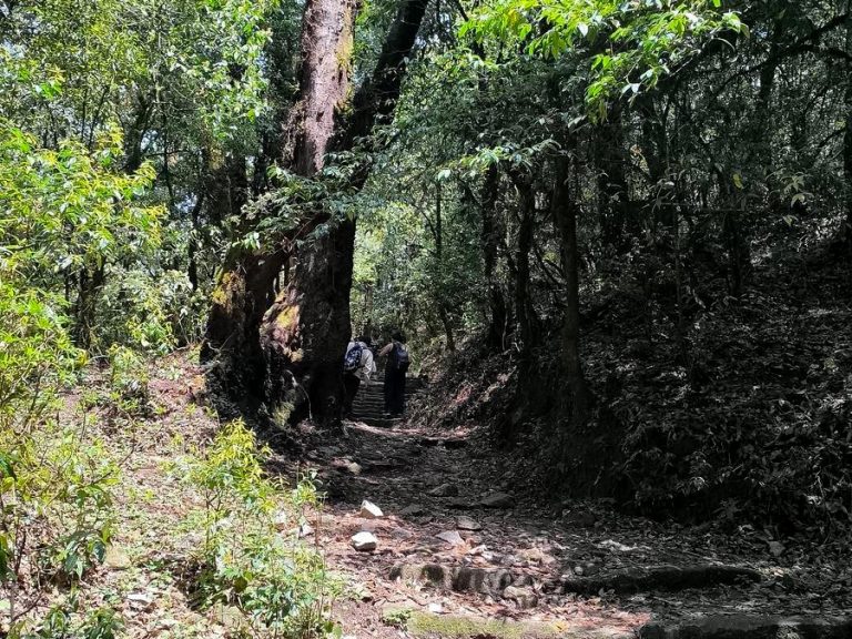 Trail to Baghdwar