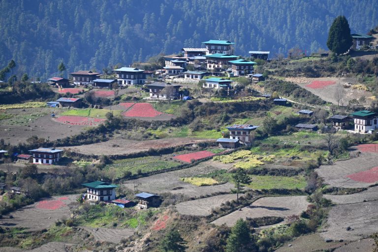 Village in Paro, Bhutan