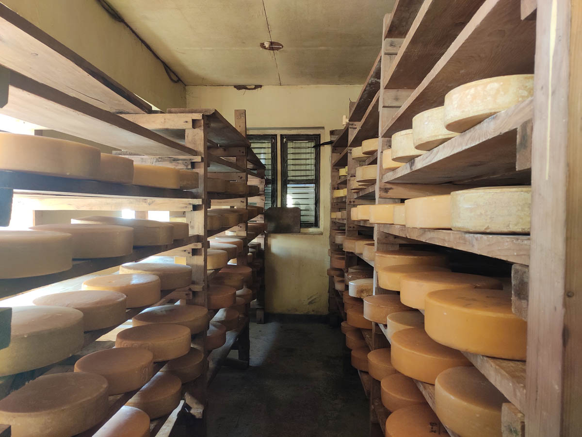 Yak Cheese factory in Kyanjin Gompa