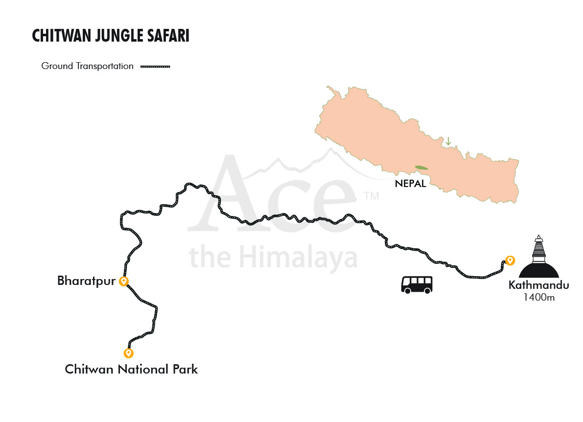 Chitwan Jungle Safari