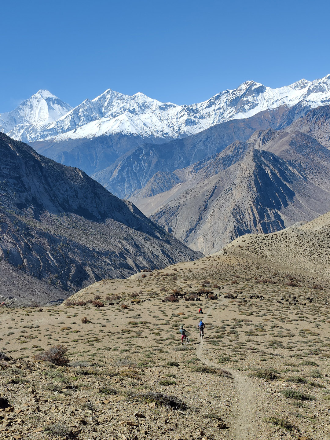 Ride from Muktinath to Marpha via Lupra Valley