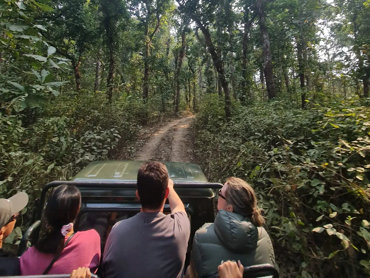 Chitwan Jungle Safari in Jeep