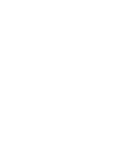 Travelers Choice, Best of the Best