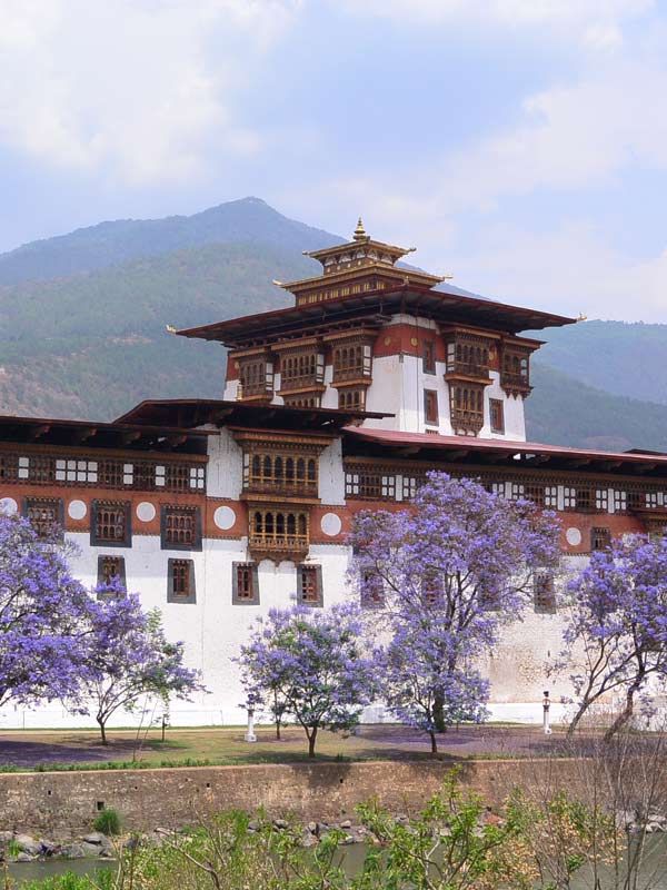 Cultural Tour and Sightseeing in Bhutan