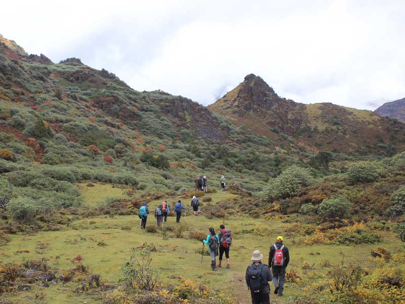 Druk Path Trek