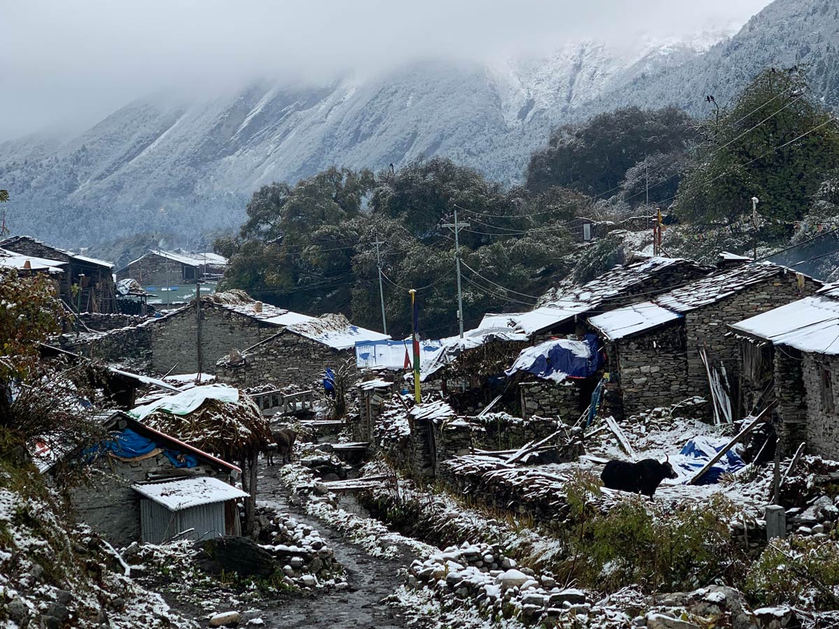 Best Time for Manaslu Circuit Trek 5 Samagaun in Winter