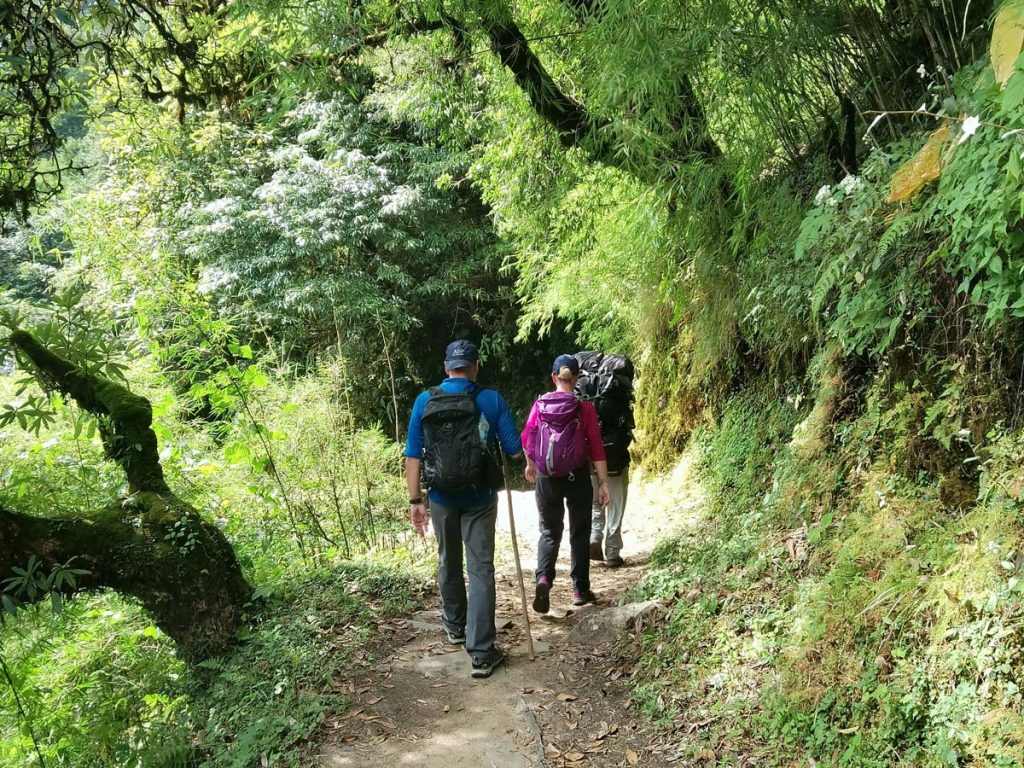The ABC trek involves walking inside jungles