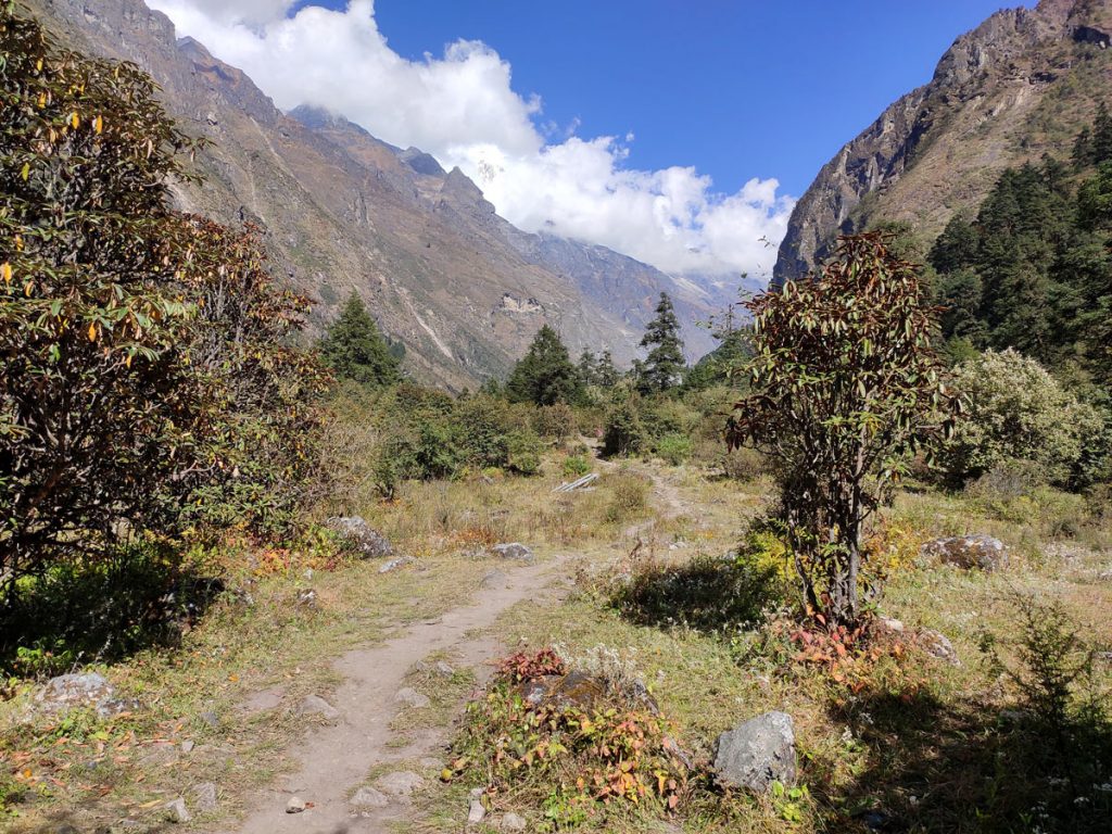 Flora and Fauna of Langtang Region