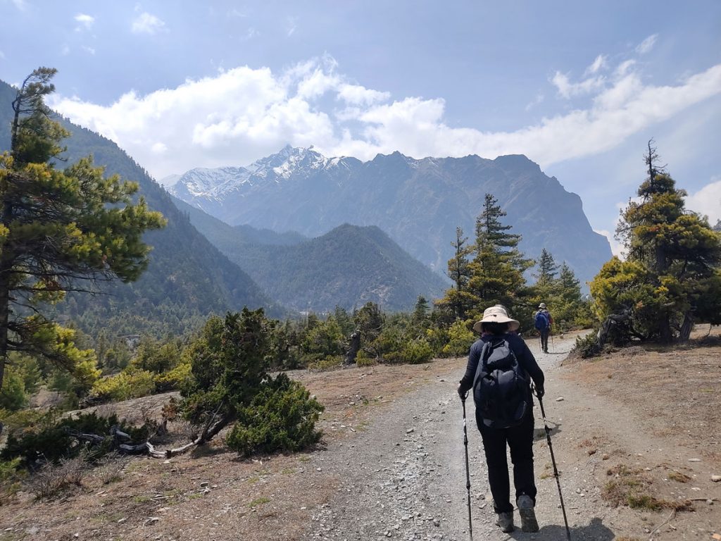 Trail to Upper Pisang