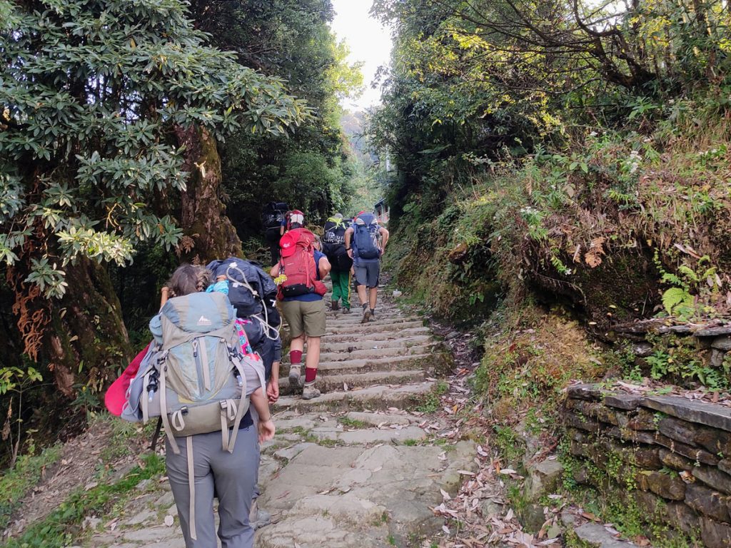 On the way to Ghorepani from Sikha