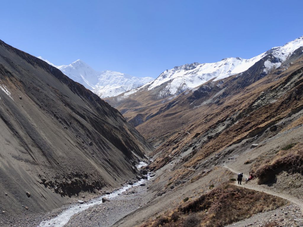 Trail leading to Thorong Base Camp
