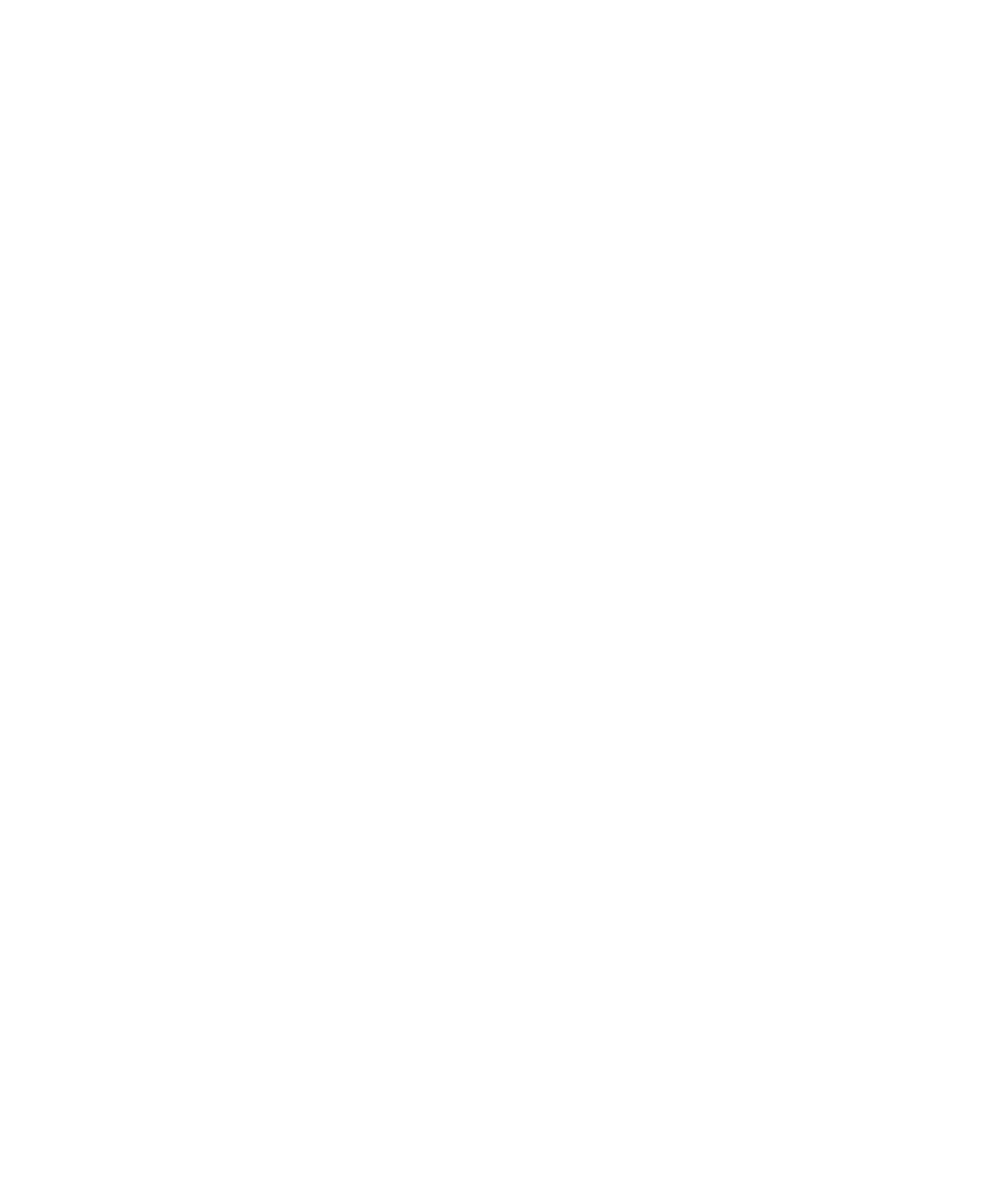 Travelers Choice, Best of the Best