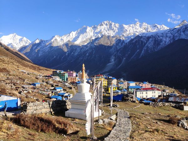 Things to do in Kyanjin Gompa