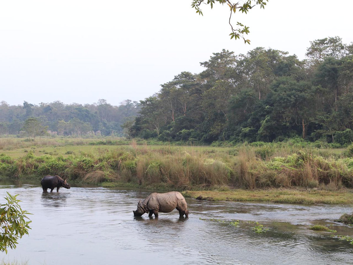 Things to do in Chitwan