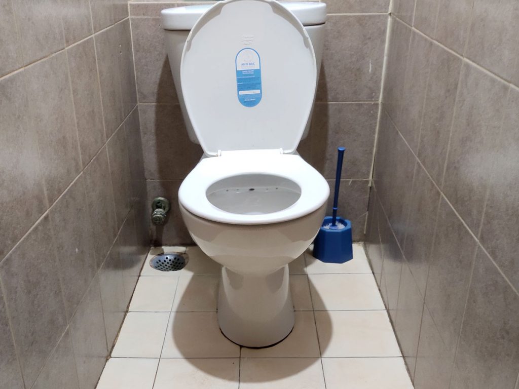 A toilet in the guesthouse along the EBC trail