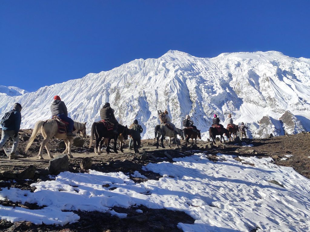 Gokyo vs Tilicho Lake Trek: Which is the Better Lake Trek in Nepal? 10 Riding a pony to Tilicho Lake with stunning mountain views.