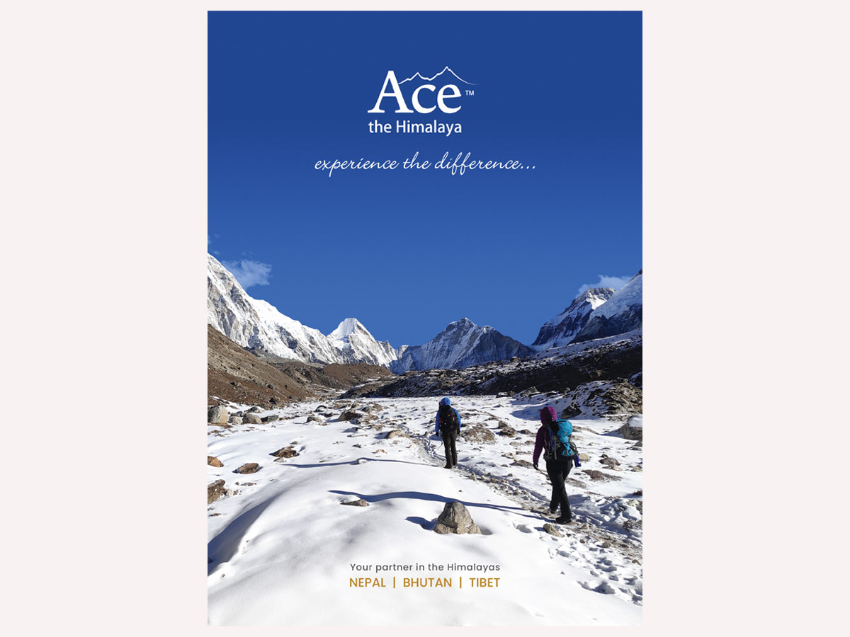 Request A Brochure