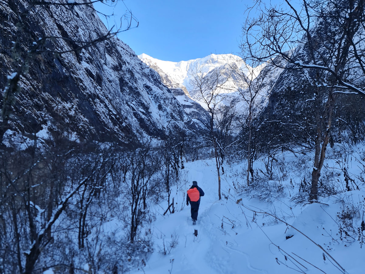 Is Annapurna Base Camp Trek Suitable for Beginners? 8 Waking through the snow covered trail