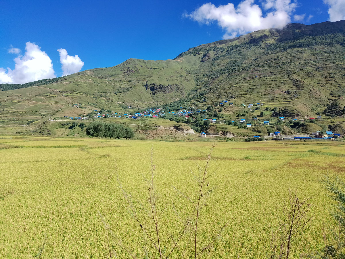 8 Authentic Experiences in Nepal Beyond Trekking