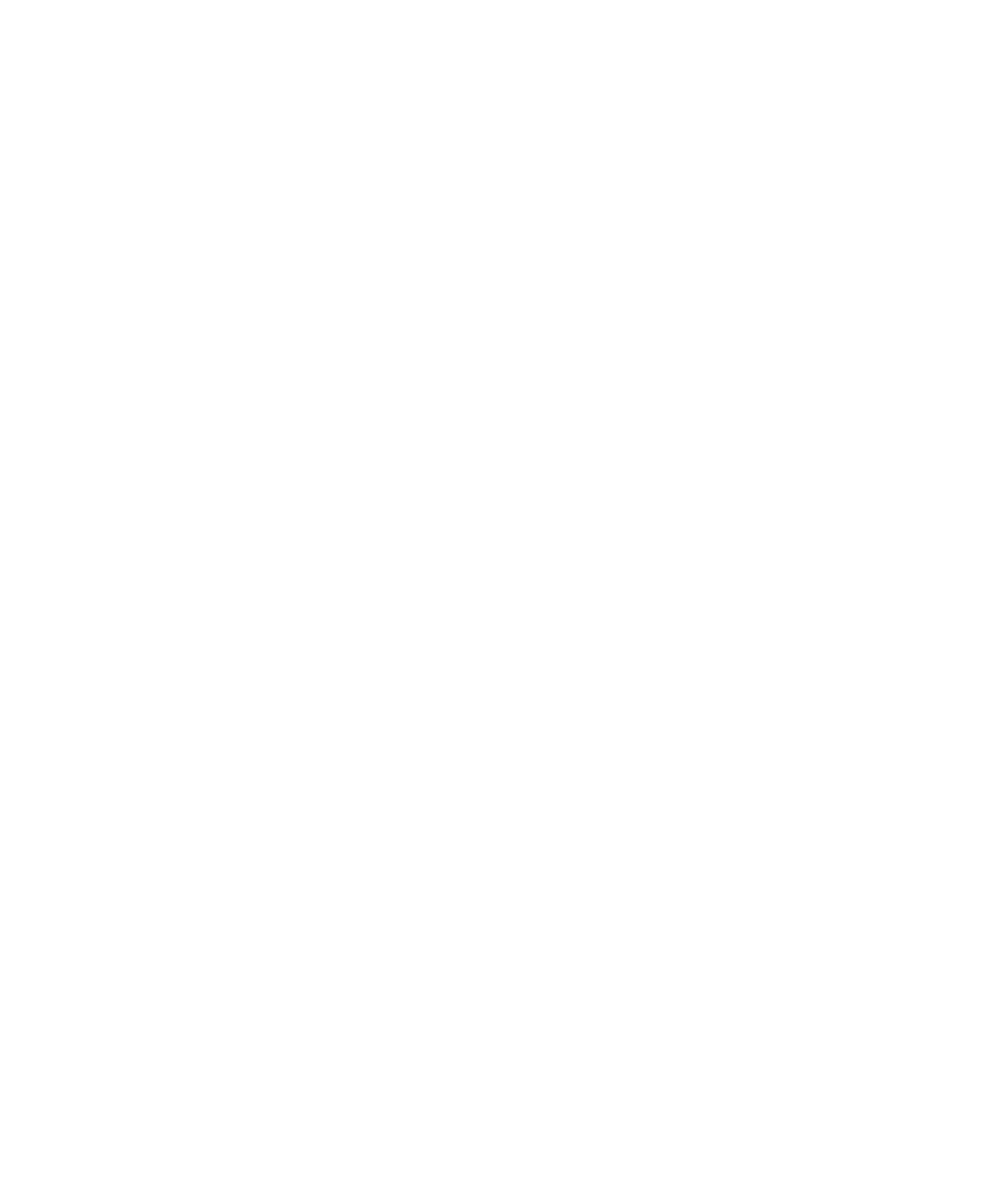 Travelers Choice, Best of the Best